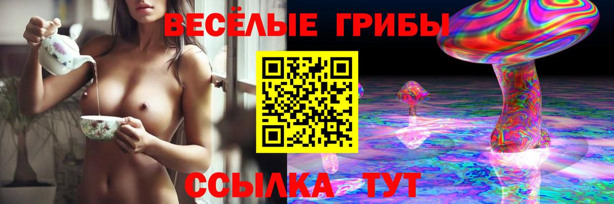 Псилоцибиновые грибы мицелий  Вход с VPN  Ессентуки 